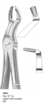  Fig. 67 ½L upper third molars left 